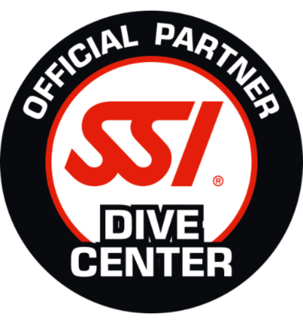 ssi official partner logo